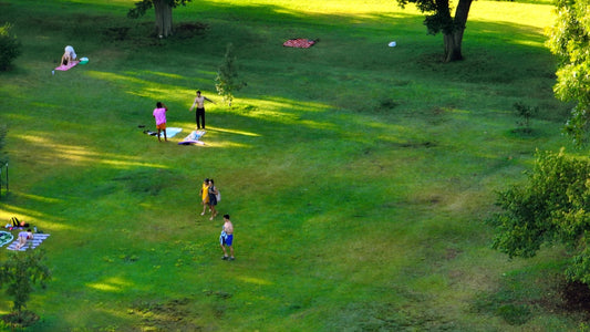 Austin, Texas Drone Footage 673