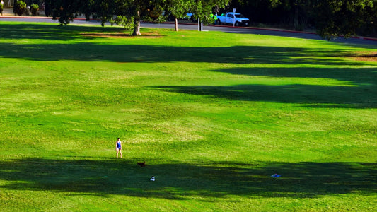 Austin, Texas Drone Footage 684