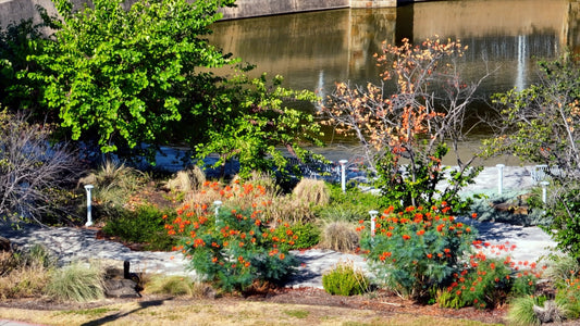 Austin, Texas Drone Footage 703