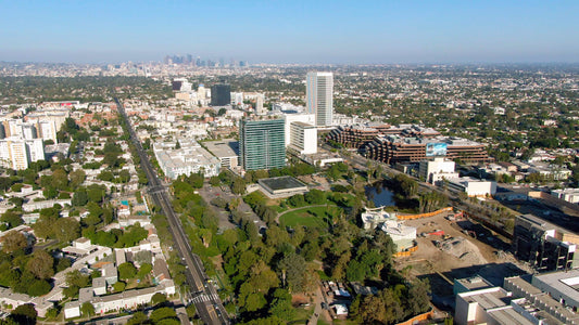 Los Angeles, California Drone Footage 013