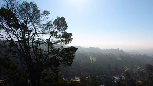 Los Angeles, California Drone Footage 027