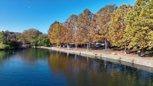 Nashville, Tennessee Drone Footage 161