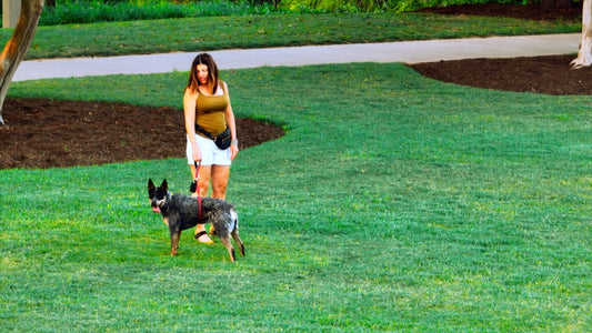 Austin, Texas Drone Footage 447