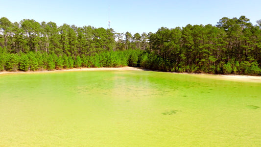 Jackson 5K Drone footage 0375