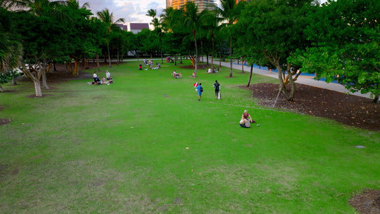 Miami Drone Footage 5K 844