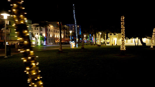 Miami, Florida Drone Footage 5K 0716