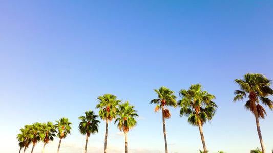 Miami, Florida Drone Footage 5K 024