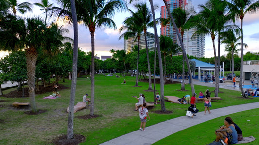 Miami Drone Footage 5K 830