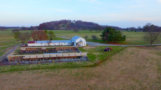 Knoxville Drone Footage 5K 548