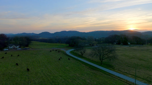 Knoxville Drone Footage 5K 549