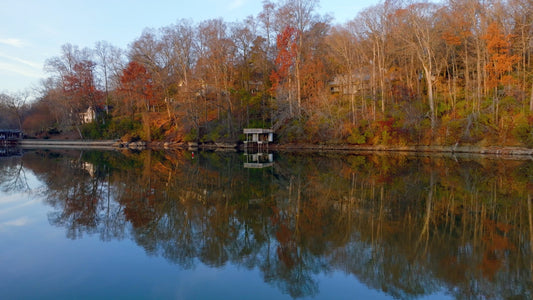 Knoxville Drone Footage 5K 565