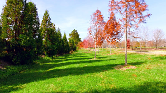 Knoxville Drone Footage 5K 0694